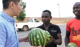 美国网红吃瓜事件,揭秘网络舆论的狂欢与争议