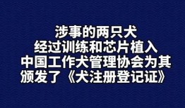 如何爆料社会新闻事件,如何有效爆料，助力正义发声